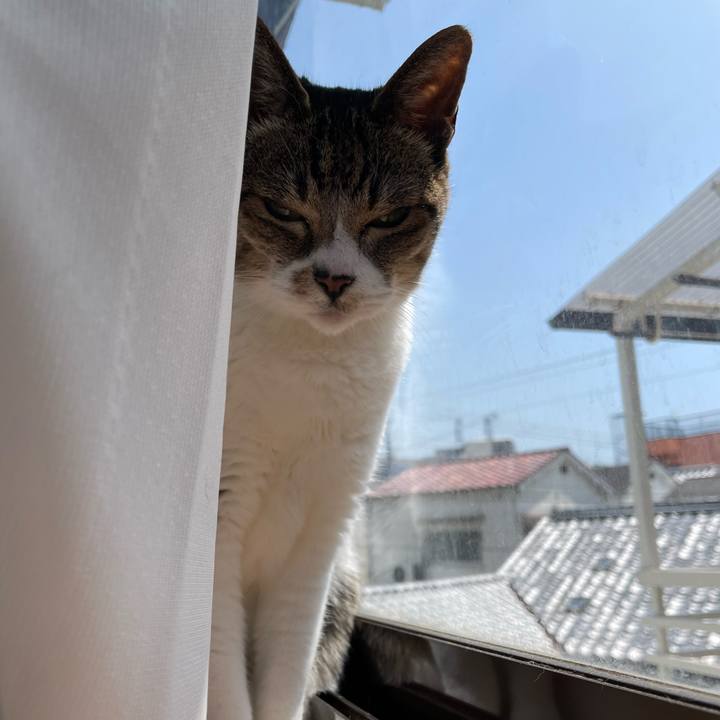 4cc993ed 66f5 4ec3 a1a8 7354d780501c 1651024834851