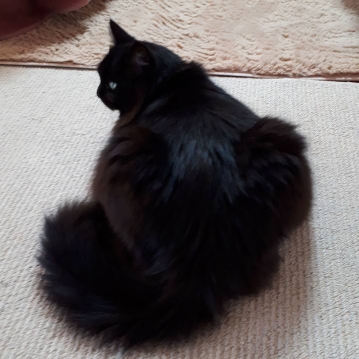 4cc99f5f fa58 41e3 b012 767f2eed0be9 1519889536224