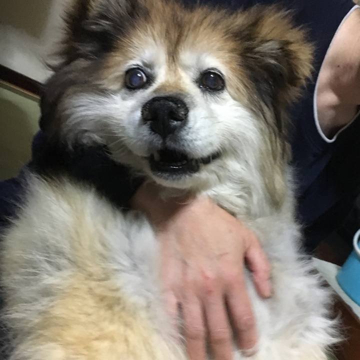 4cc9d615 a0ef 4bd1 b591 78cc8c235805 1581670038751