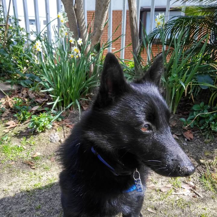 4cc9e6e2 74ff 4c3a ab7b 968a8e10889c 1550988187250