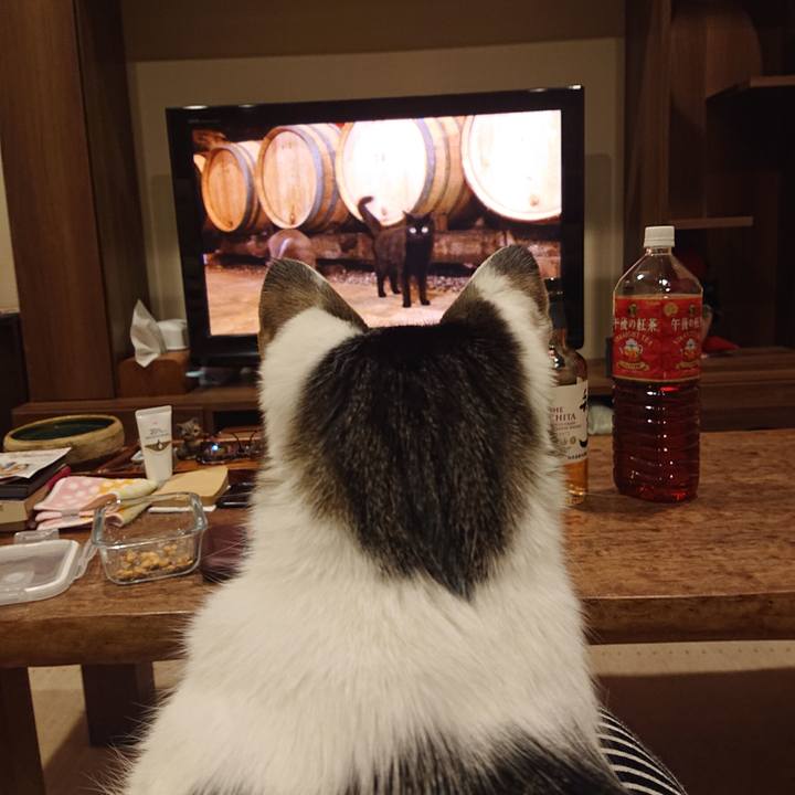 4cca4e8d 6a19 46d4 a29c 56e6dbe8f3f7 1644372331502