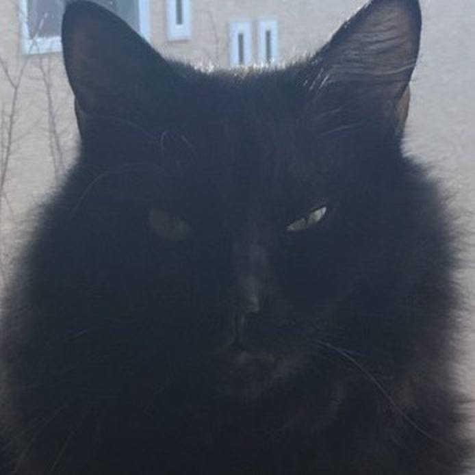 4cca51f8 9d1b 4a43 ab2f ef90a790d036 1512279628813