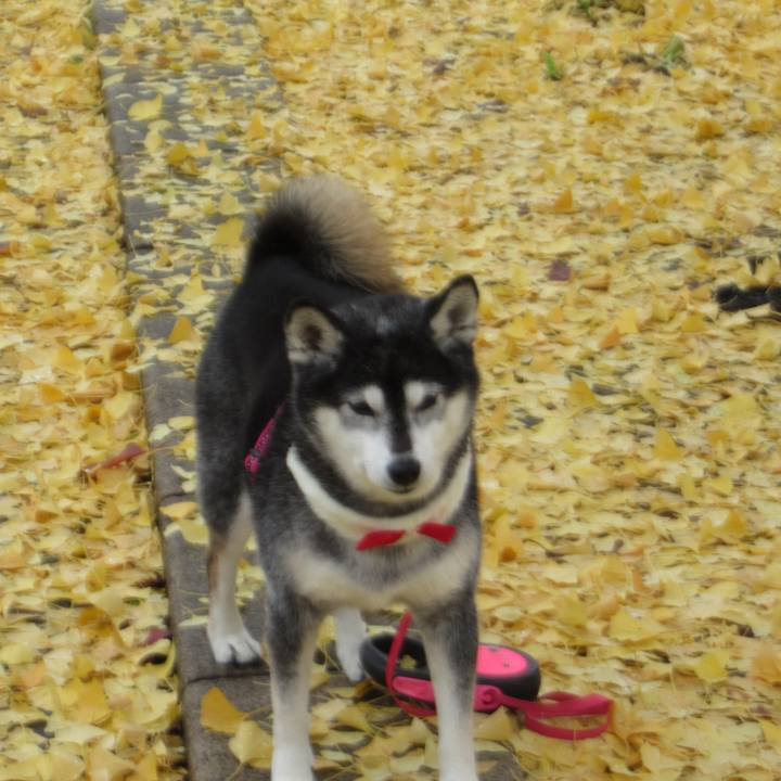 4cca6bf5 0b5a 4bf2 825c eef53b89a007 1764476596072