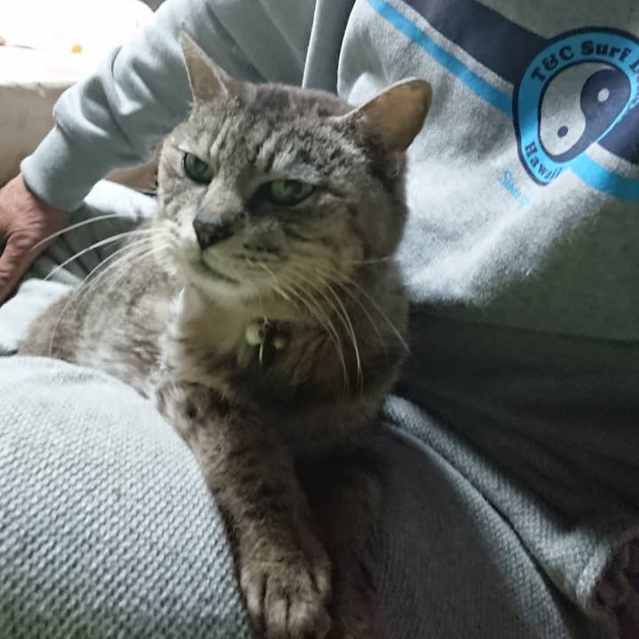 4cca6e84 a487 43ee 8494 4a4ea24b8485 1590782615694