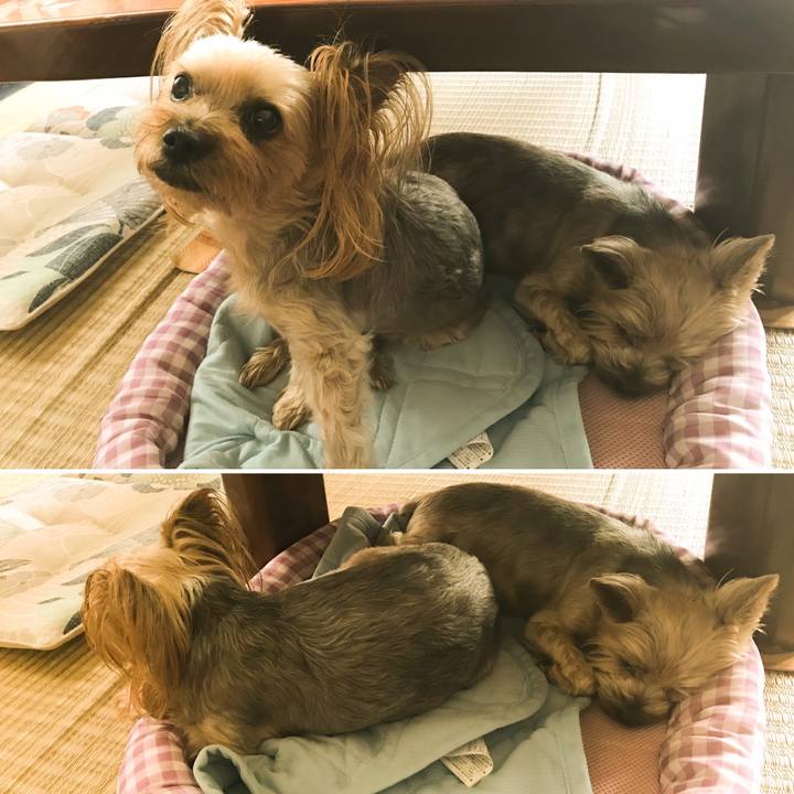 4cca7a0c f506 4e0f 927a 2238bb88614b 1594114550259