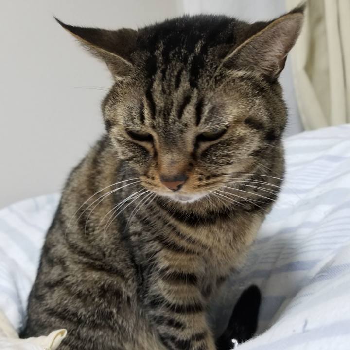 4ccaac28 c5c6 4f53 ad47 43aebc9e368a 1607640702372