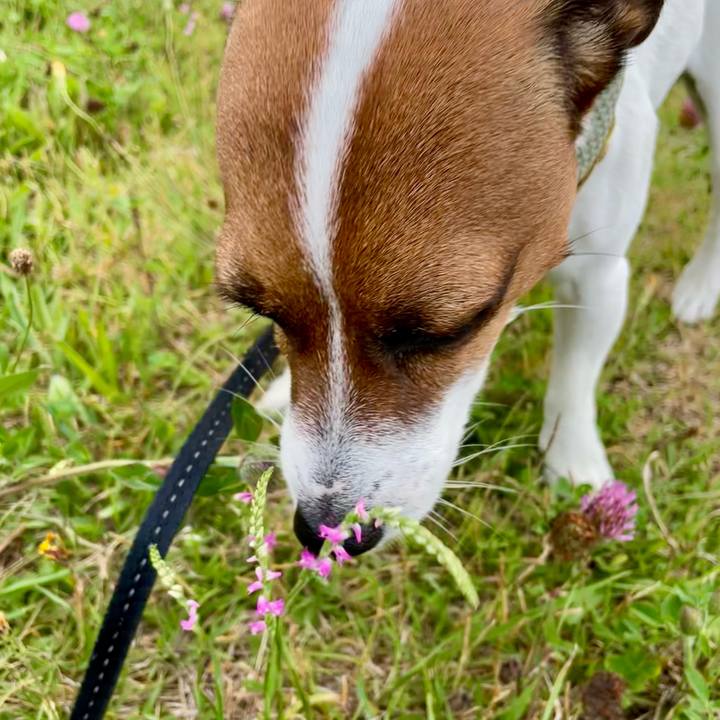 4ccac638 e78d 4e52 82cf 379be6293e44 1657276061483