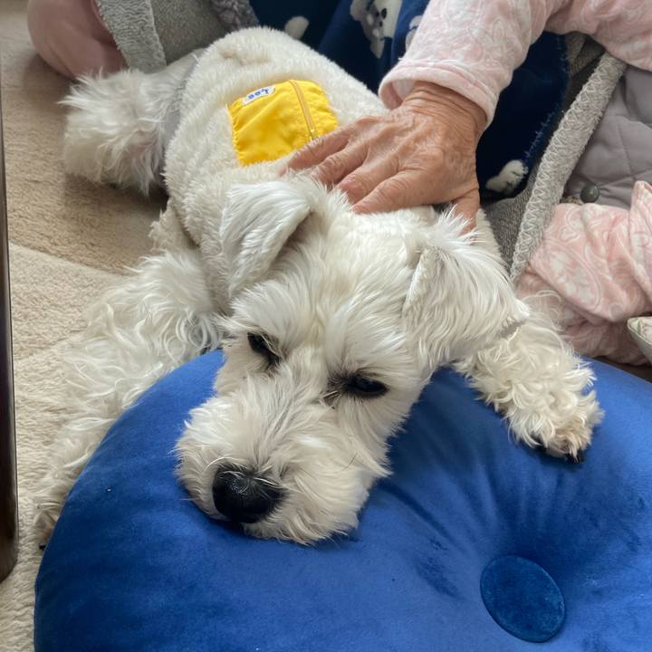 4ccaf5a2 54b4 444b b9a3 65f8acc2f48f 1764490518061