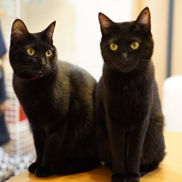 4ccb1402 4806 4eb7 a843 5f597b81f4ee 1548286225930