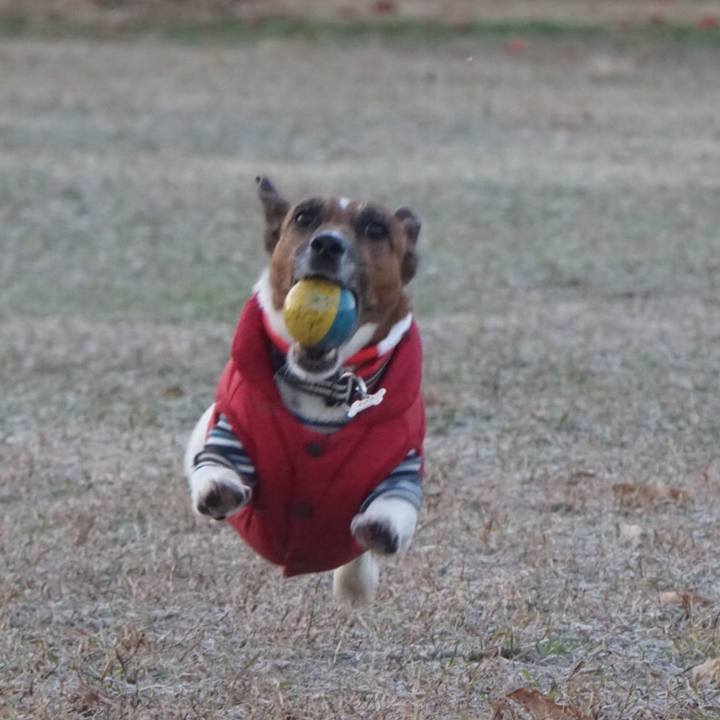 4ccb198a 61b4 4aaf b59b 18c35909fb43 1545433863485