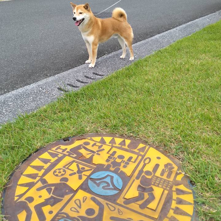 4ccb26bc e533 4e03 8555 2963d5b07e7c 1559680855687