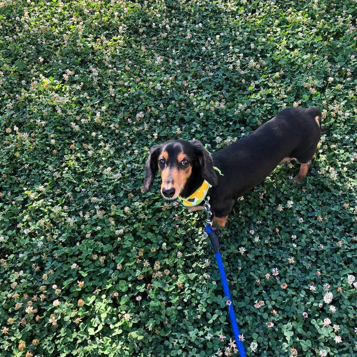 4ccb282c e96a 4ada 8f04 04eeeb00b1ff 1534460214631