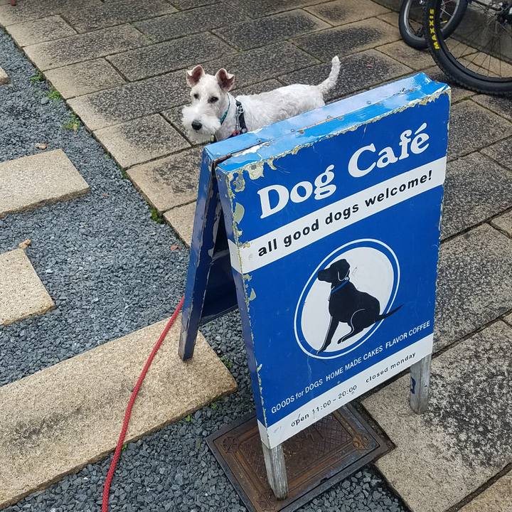 4ccb3481 2de8 4d6c b067 a9ceab477ce2 1541332758925