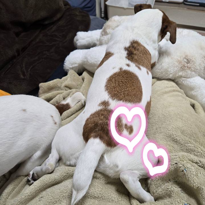 4ccb4ace 8b61 4c9d 8b80 8f6ee7bbb71c 1768389767315