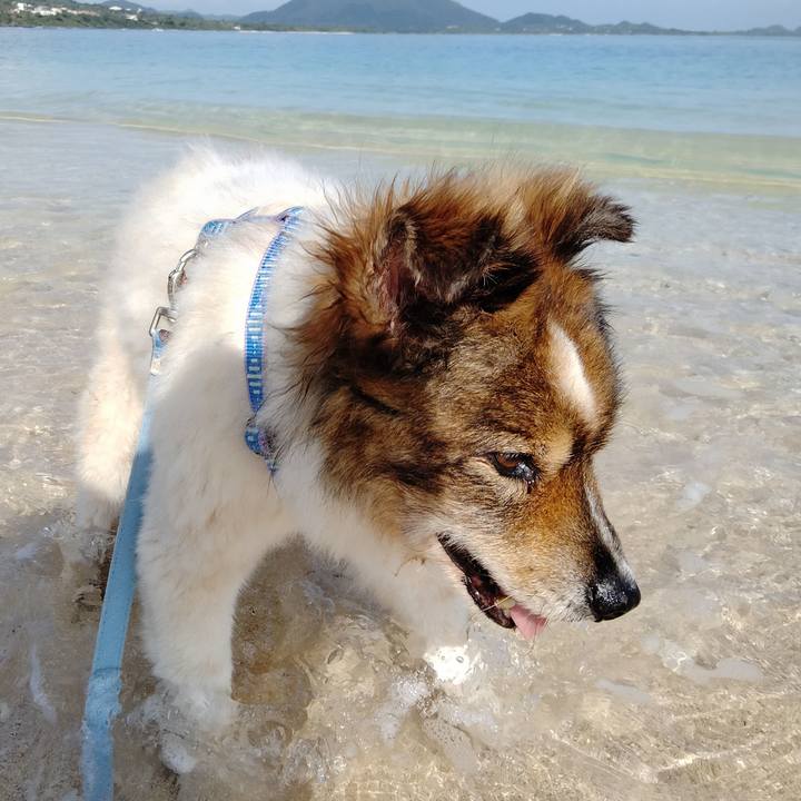 4ccb68bd b915 42ca b932 ca83262dfcb5 1627450412307