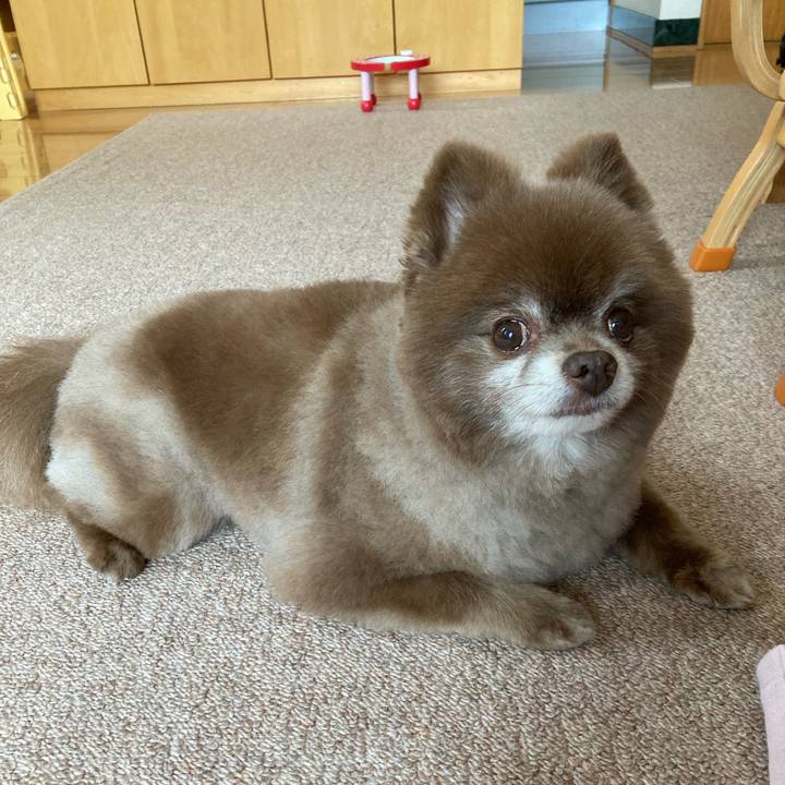 4ccb6d39 df17 4a44 87ea dd73c613c036 1654382013179