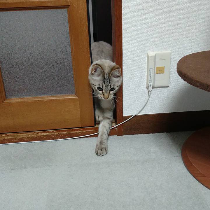 4ccb714a 4056 4f36 9326 ee85851983fb 1703672982166