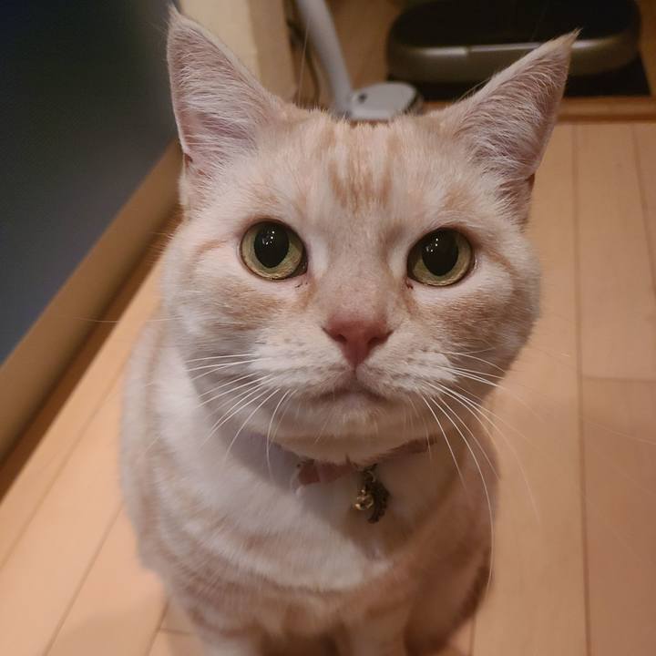 4ccb7e3c 16b4 49e4 8019 dc6ebc6e3637 1636705492524