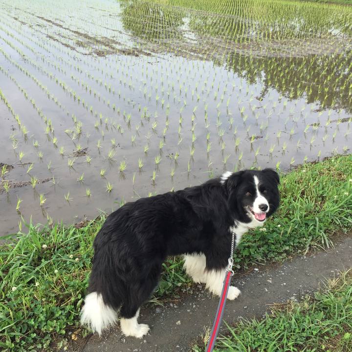 4ccb9fbe 74ff 40e1 abf0 eecd283afcf2 1561765513179