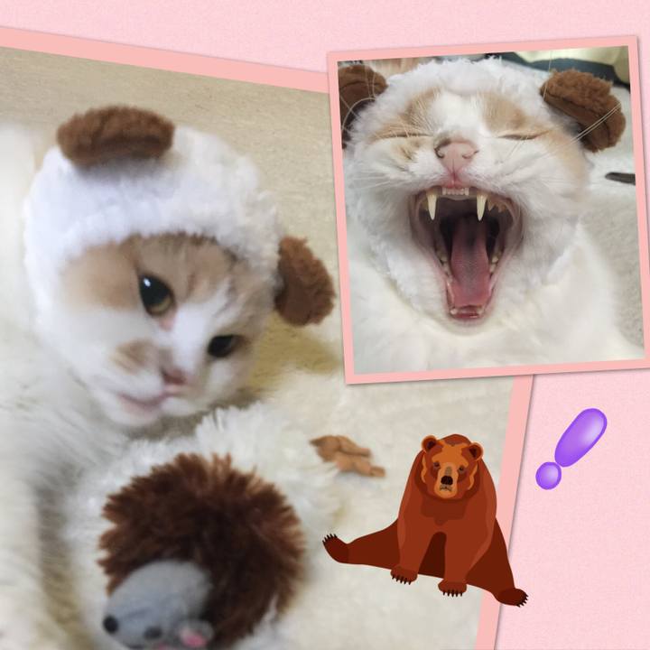 4ccbb6aa caa5 4e25 bdb4 2f98fdcb5c1e 1533820389685