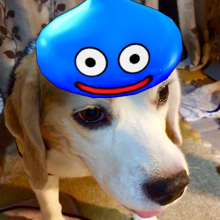 4ccbb729 a9b6 4bf1 95df d55a195c9df8 1568452502801