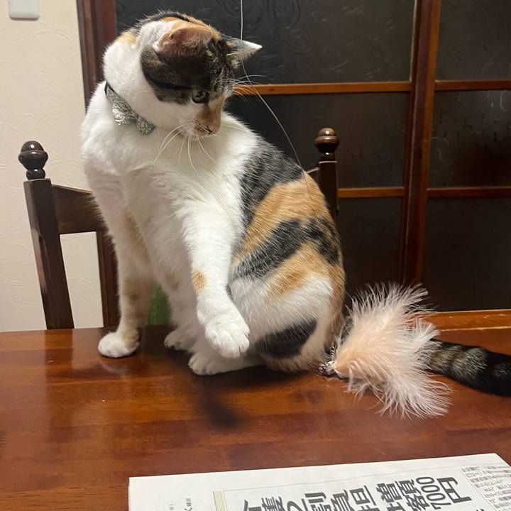 4ccbbd33 0d45 4dff bbb7 762ae3eb314c 1764679640395