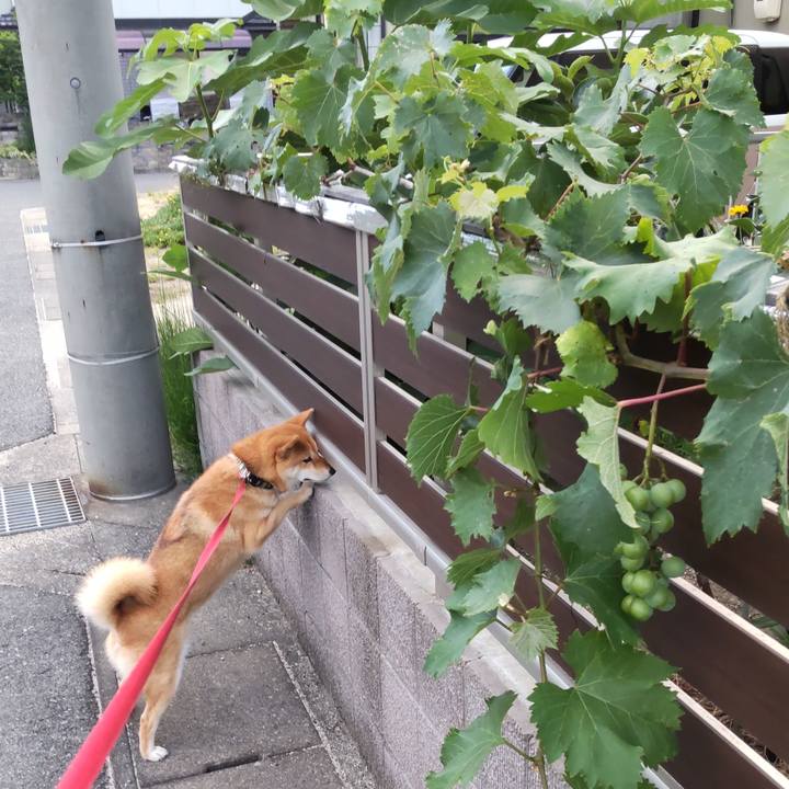 4ccbc03c 81ea 4e0c 861a 8b5e0002c446 1656240477856