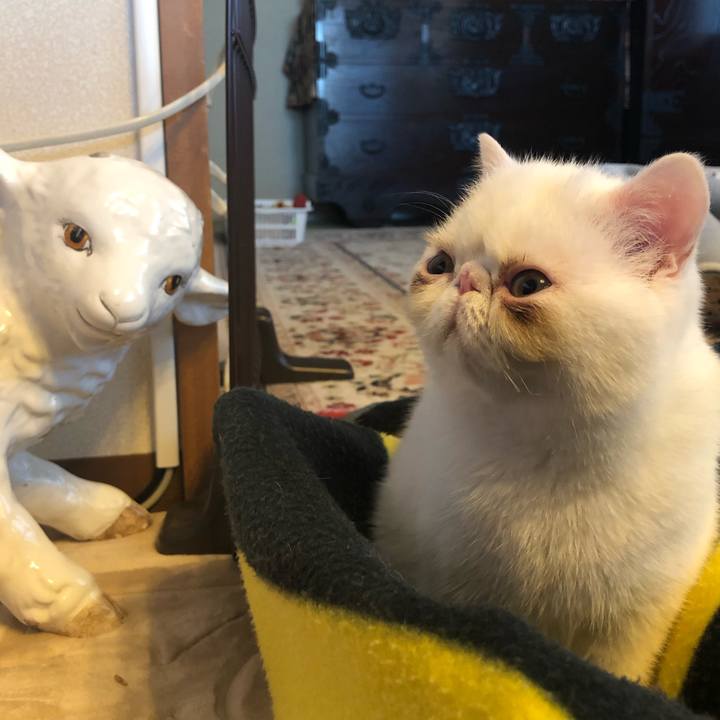 4ccbc7d2 588d 48dd b289 ba282c3872fc 1553153272927