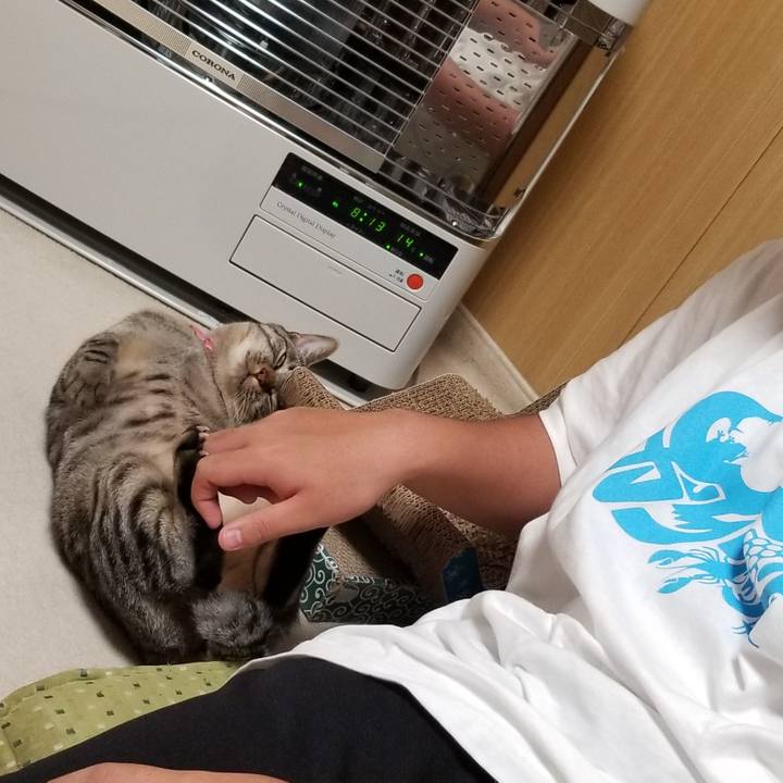 4ccbda6d dbb4 4649 aa25 3f214b16e402 1688126265507