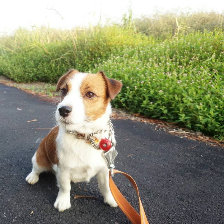 4ccc06ea 0d3b 4103 a4ac fbd169b658f6 1508292409145