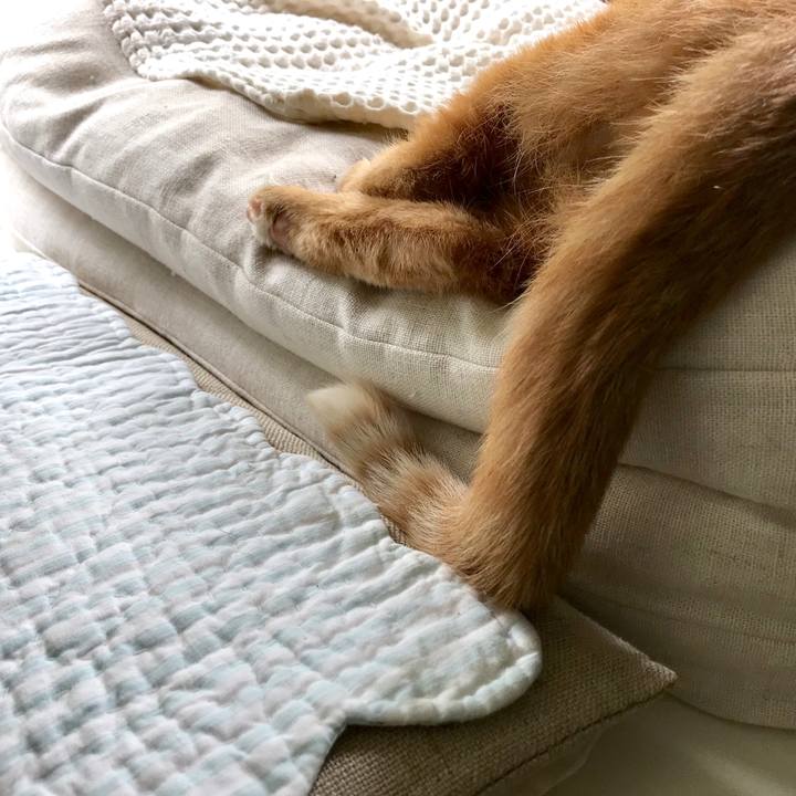 4ccc1910 aa84 4922 8abf 9fb939046a30 1534921436875