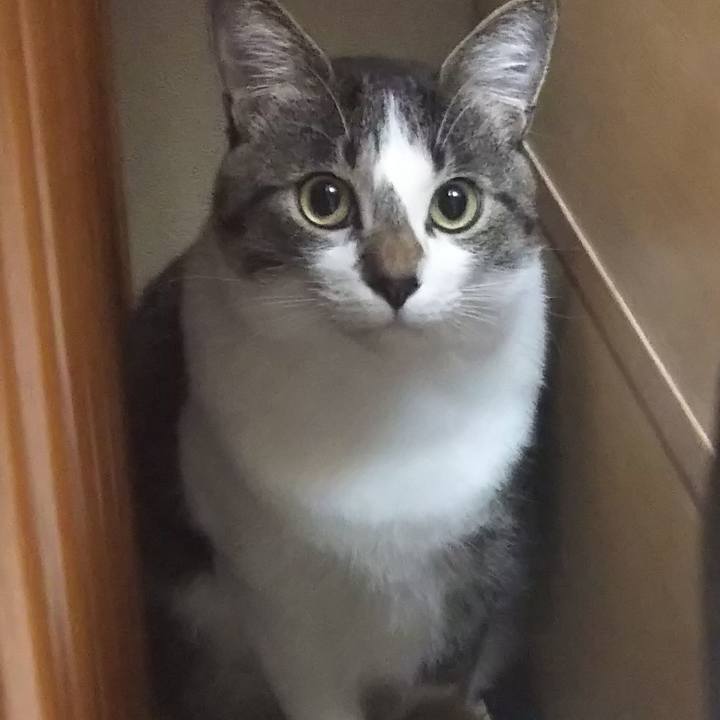 4ccc41dc e520 43f4 a7d7 bb549c5aa0ee 1604758778924