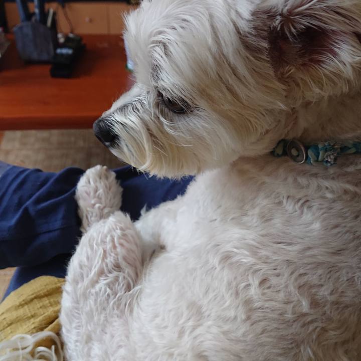 4ccc4e94 579e 4df3 a4aa 8731b7aee4ee 1558180884426