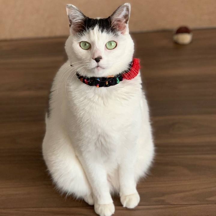 4ccc4ff4 f00c 4d93 94e9 934c29699c2c 1552930181539