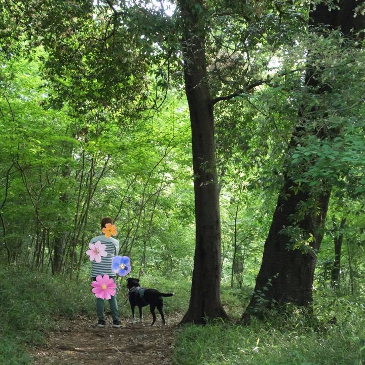 4ccc6ec9 0484 48d8 9a4b d3c915693bdd 1746056851907