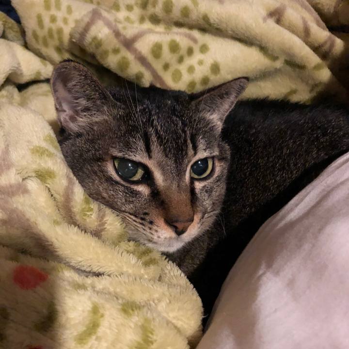 4ccc8a0b 451f 4f9e af08 4d4a00d99a87 1668905940865