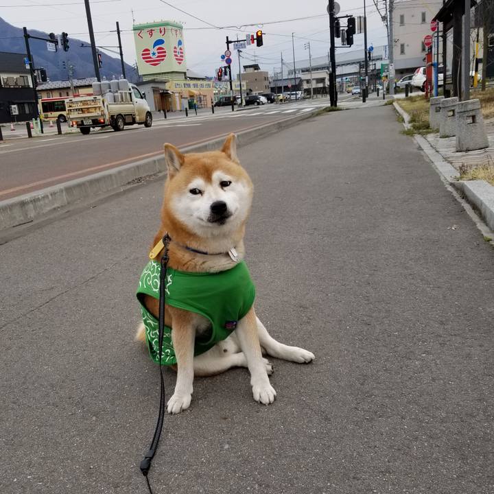 4ccc97f8 7978 4584 9d20 9fedf61c72ef 1587110751834