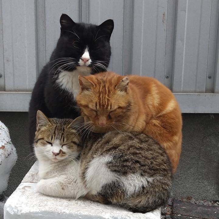 4ccca965 abf8 40a0 8c8c 9d8980873811 1648267338845