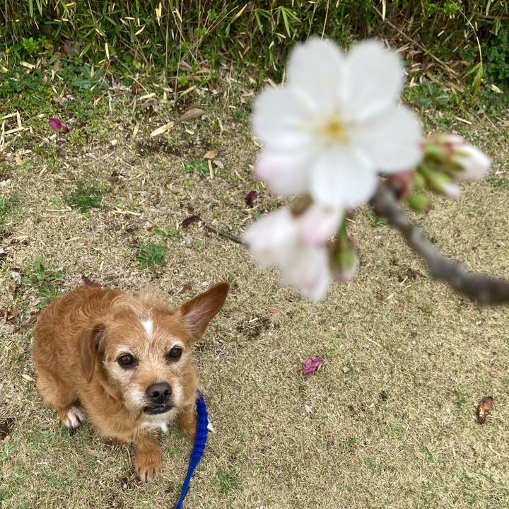 4ccd3ab6 0875 4ae2 8854 6c6861be0d9c 1648376171242