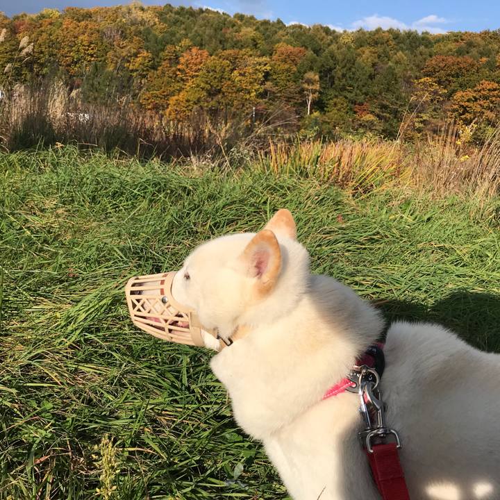 4ccd4c5c 5056 4b63 8901 9f34c8548979 1540386903506