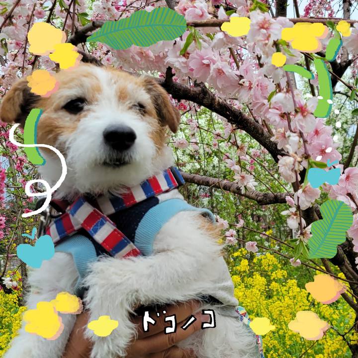 4ccd61cb f252 42c6 8bb5 e4b6d2740152 1744515289166