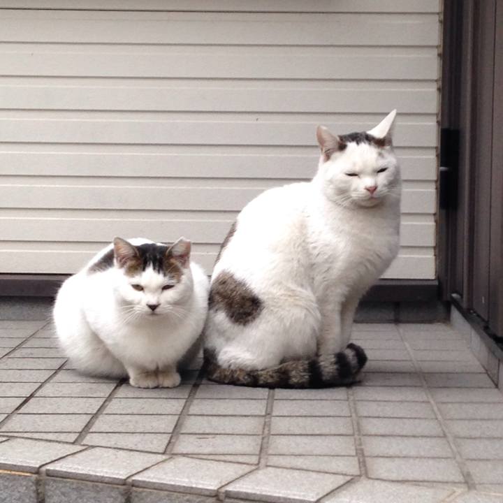 4ccd6414 75ad 4a32 af4c d655c5603fc3 1512377957019