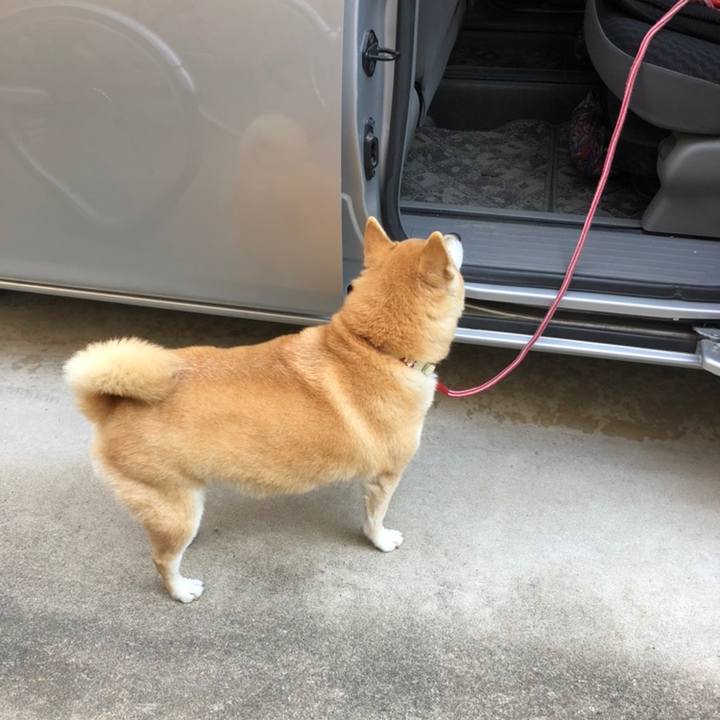 4ccd7206 4d0e 4a20 affc 50184ae6ac35 1558686585555