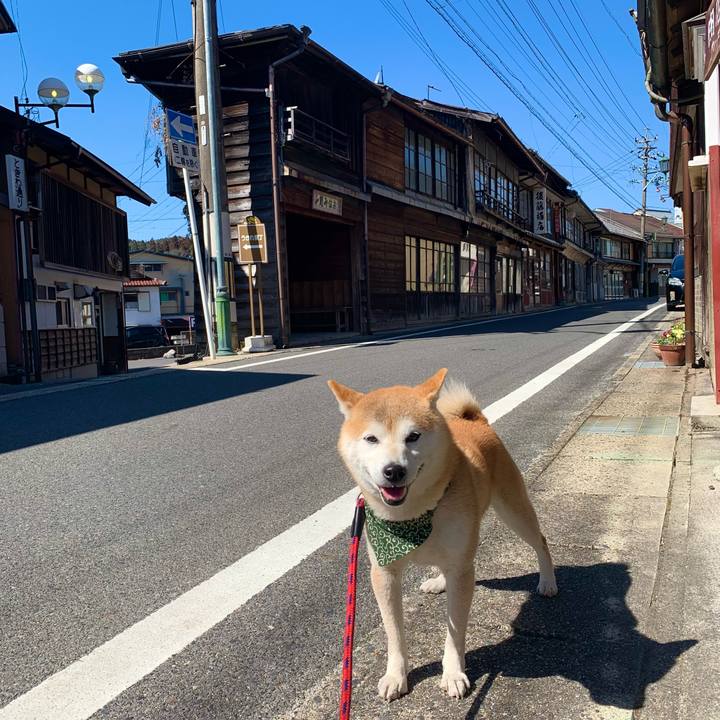 4ccd7637 9e4b 4350 8d1d 93efd4193377 1677571100470