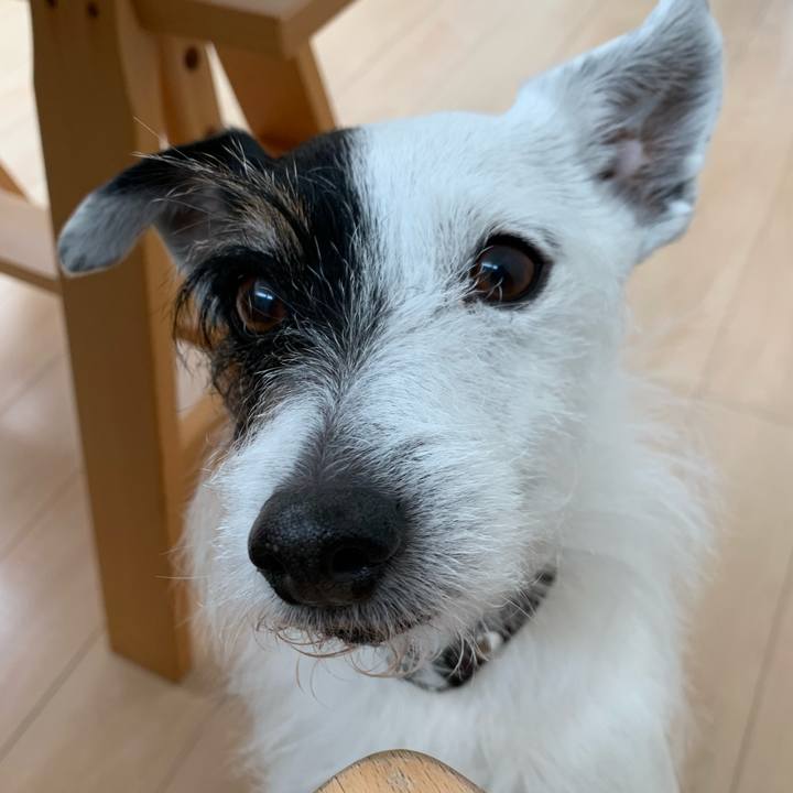 4ccd96f0 9f44 4139 bea4 9d62f764de93 1741224973117