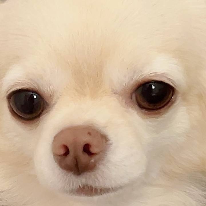 4ccdab82 bdd9 467c be14 3dbc220ffa1a 1728477081429