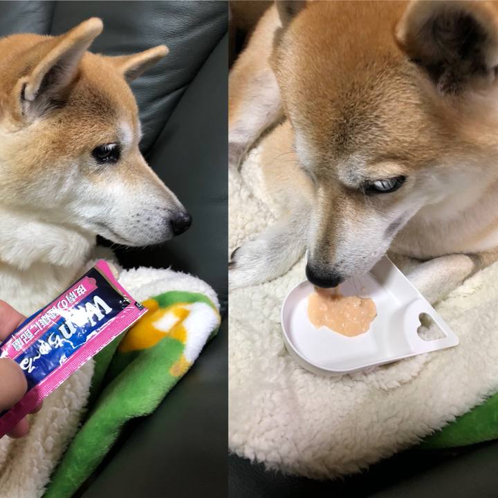 4ccdaf64 2895 4e49 bea5 ce5de78df3cc 1574156118406