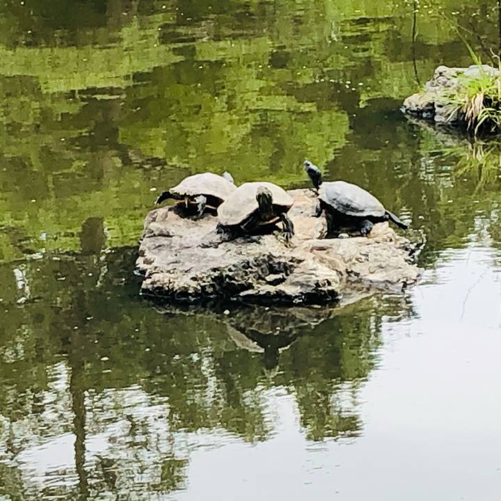 4ccdd5b0 c4f6 48a2 b847 e3138f40279d 1621662414331