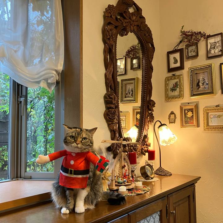 4ccdee4d d49d 4be3 a825 cee3d7f05e89 1766542547792