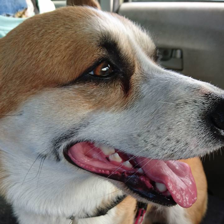 4cce021f 6a07 4c12 a942 0c5b9e6e34a3 1637072028313